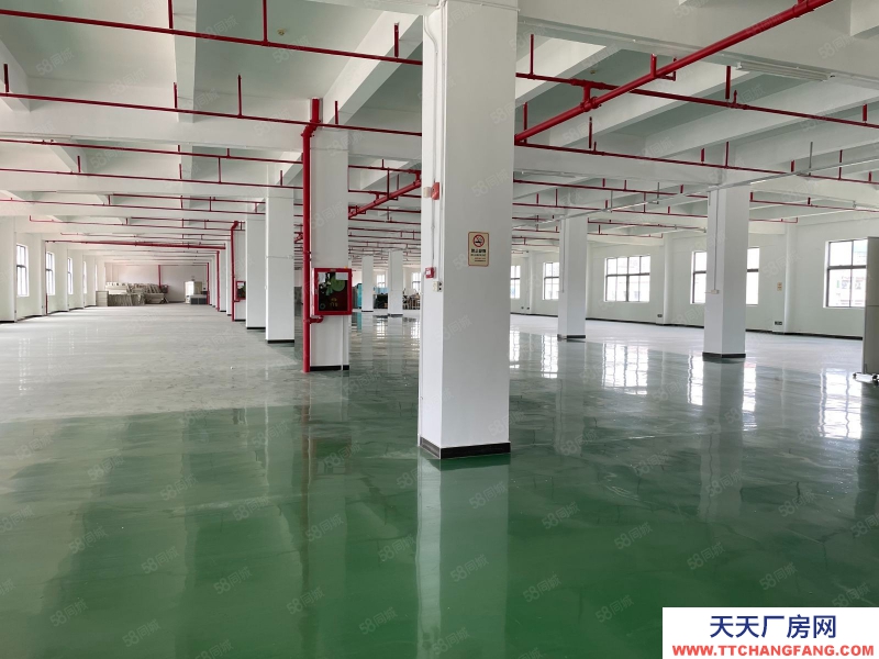 (出租) 原房東實際面積深圳 鹽田工業園獨棟5000平辦公室倉庫廠房出租