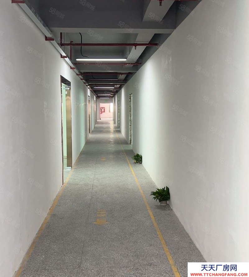 (出租) 房東直租,深圳鹽田沙頭角科技園區200平精裝修廠房出租