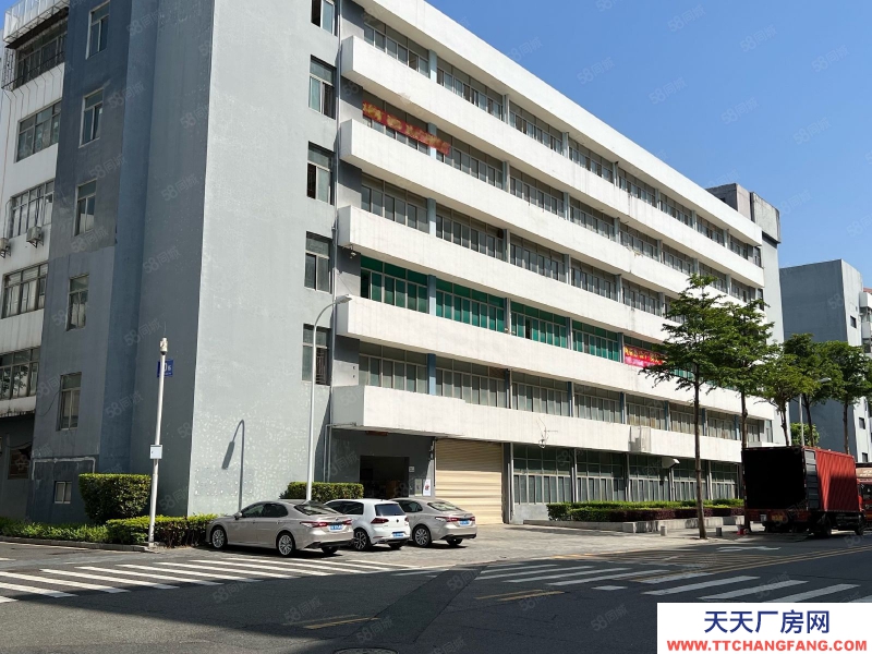 (出租) 房東直租,深圳鹽田沙頭角科技園區200平精裝修廠房出租