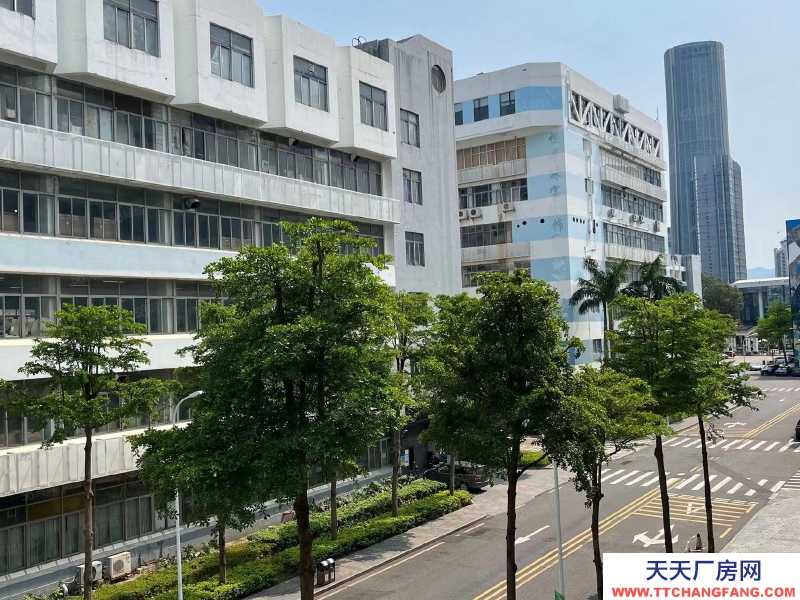 (出租) 深圳鹽田沙頭角廠房60平起分，2100平大小可自由組合