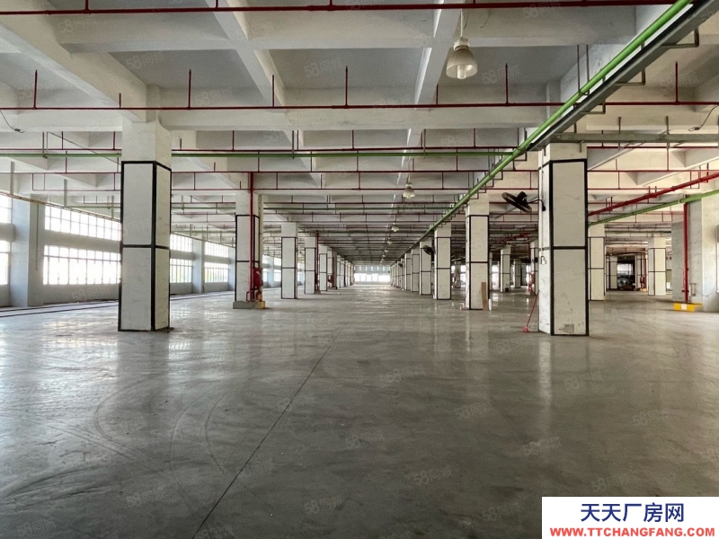 (出租) 深圳鹽田獨(dú)門獨(dú)院4萬平方廠房倉庫出租,空地大,帶貨臺(tái),可分租