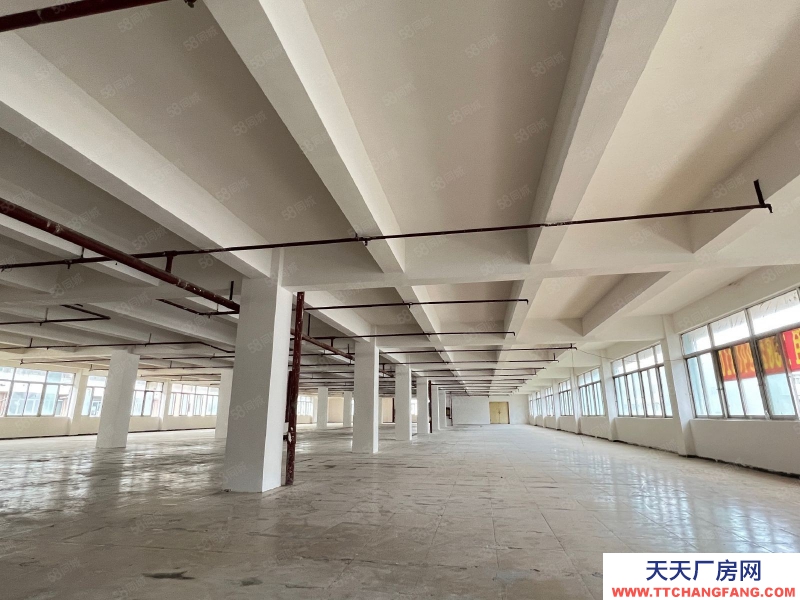 (出租) 房東直租，深圳鹽田沙頭角房產證面積2100平廠房出租