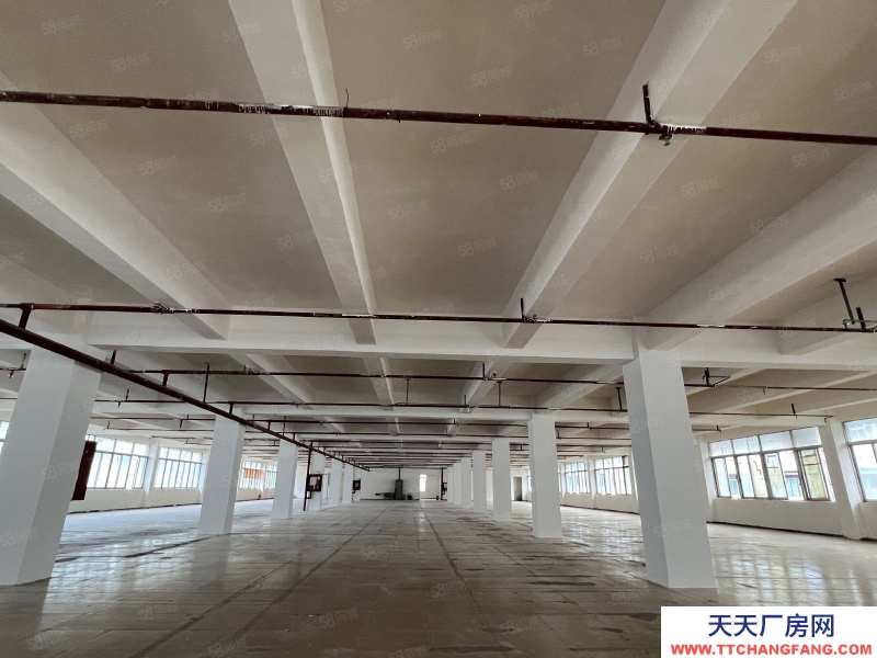 (出租) 房東直租，深圳鹽田沙頭角房產證面積2100平廠房出租