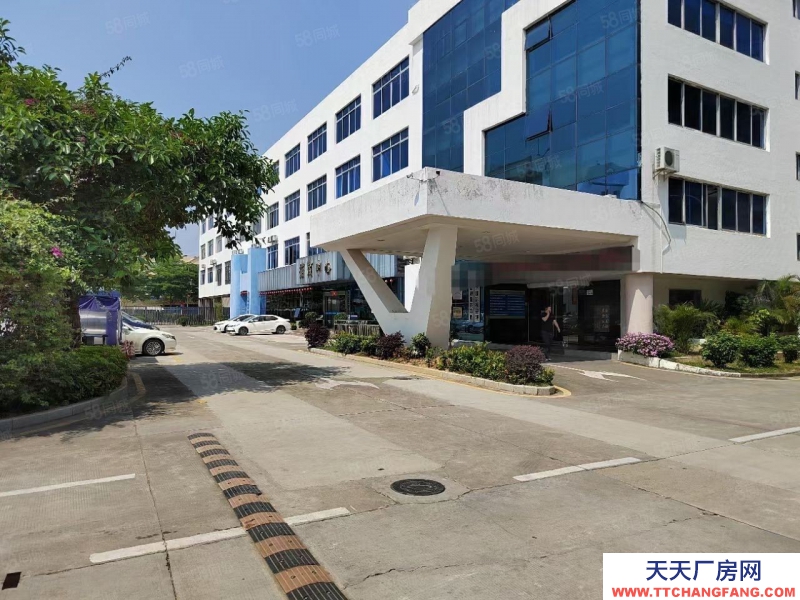 (出租) 超低價格！深圳鹽田沙頭角1000平一樓花園式廠房空地超大現成裝修