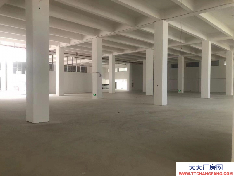 (出租) 房東直租，深圳鹽田新出4000平廠房 200平起分租