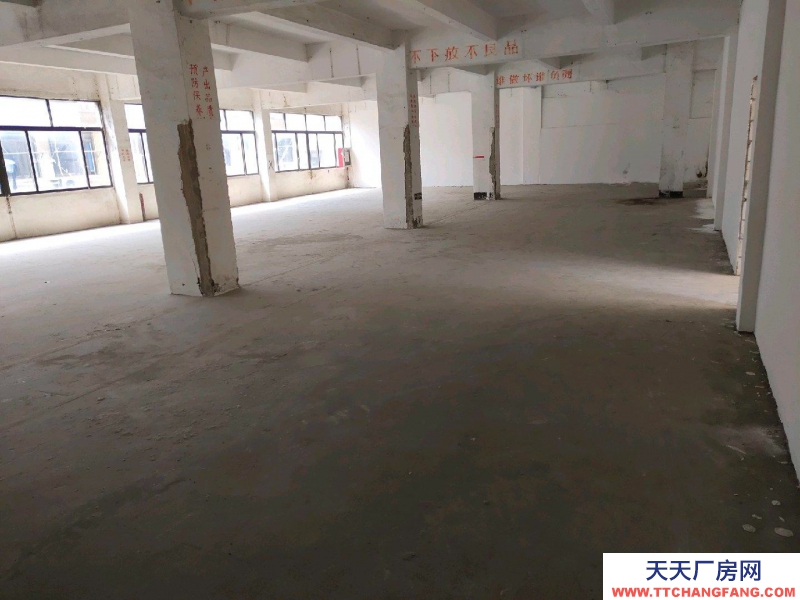 (出租) 深圳鹽田獨(dú)院廠房，車位充足。