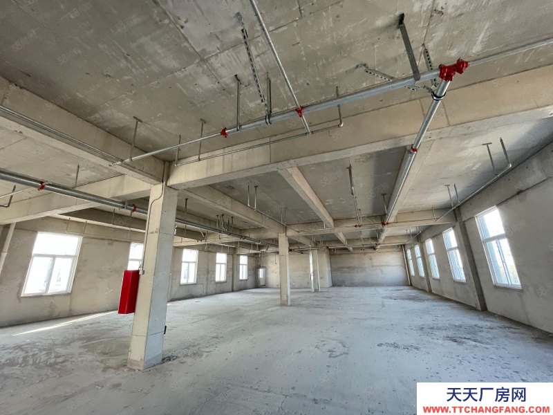 青島即墨年中特惠，出售1200平廠房