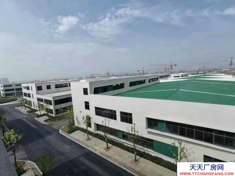 (出售) 合肥廬陽(yáng)層高9至11米 單層輕鋼廠房1500至3000平出售