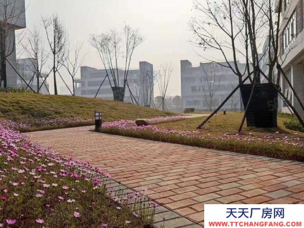 長(zhǎng)沙市開(kāi)福區(qū)首層7.2米廠房出售 臨湖獨(dú)棟現(xiàn)房 無(wú)中介費(fèi)