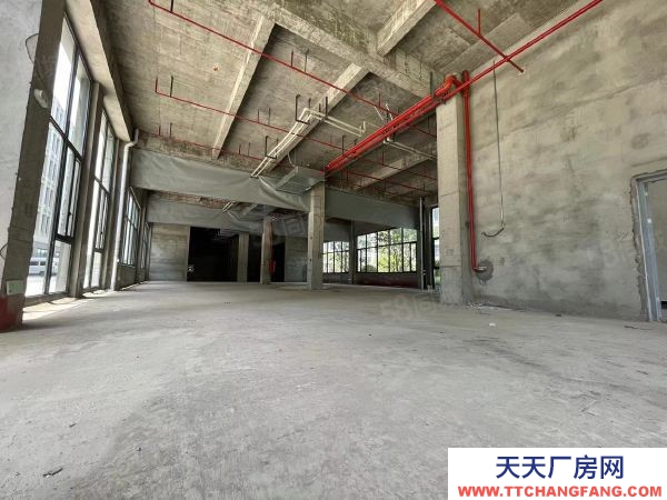 南京市玄武區7XXX！！全新廠房，開盤在即！！高性價比！