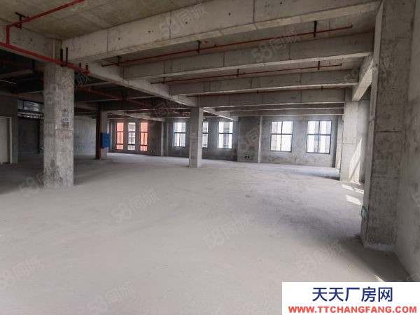 長沙市開福區老百姓國藥總部旁廠房,現房,1萬平,可過G