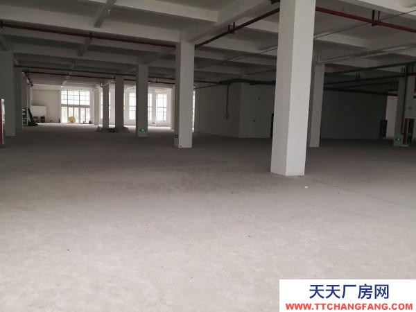 南京市玄武區福中現在大面積廠房 寫字樓對外出租 面積大小可分割