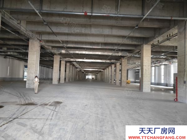 南京市溧水開發(fā)區(qū)廠房倉庫20000平 帶月臺 金剛砂地坪 價格便宜