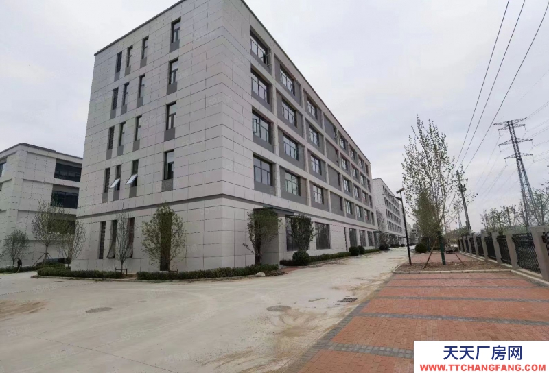 石家莊 藁城 東三環(huán)獨(dú)棟3層廠房出售 研發(fā)生產(chǎn)辦公 2500平可貸款大跳高