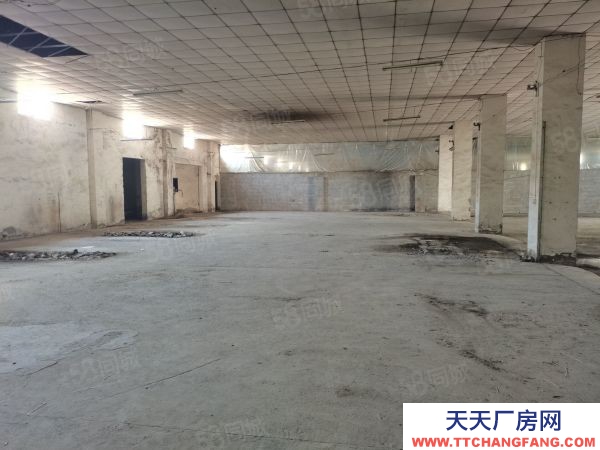 南京市潥水縣柘塘附近靠近祿口單門獨院廠房1000平另有辦公