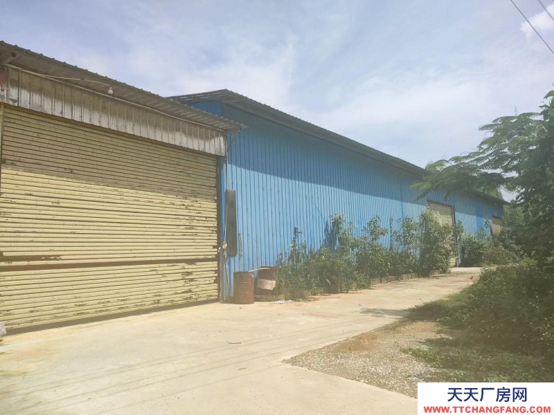 南寧市西鄉(xiāng)塘區(qū)(出租) 出租南寧市2萬平花園式廠房/倉庫/可分租/可隔大小