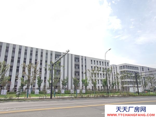 南京市溧水永陽核心區 50年產權廠房 600平起