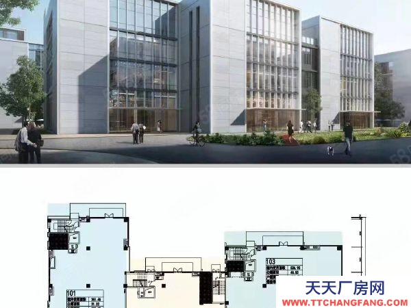 長沙市芙蓉區  電子商務金融服務農業科技生物醫藥總部經濟集聚地廠房