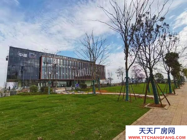 長沙市芙蓉區(qū) 長沙隆平自貿(mào)區(qū)內(nèi)多層廠房出售