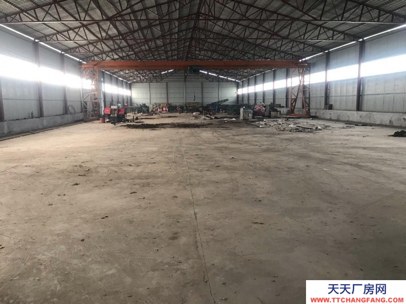 石家莊 晉州 緊臨晉總公路鋼結構廠房