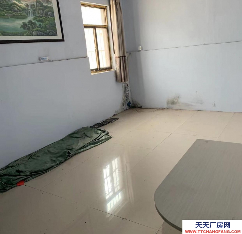 石家莊 晉州 辦公室10個單間，可辦公，直播電商