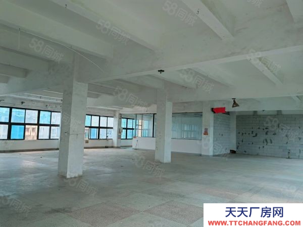 長沙市芙蓉區(qū) 馬王堆260一540平米倉儲辦公優(yōu)價出租