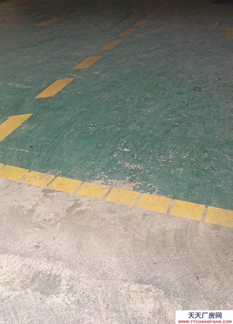 南寧市西鄉塘區(出租) 求合租伙伴，有意者，價格面積面談