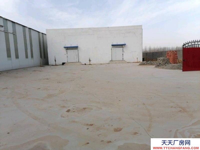 石家莊 新樂 車間彩鋼6米高，寬20米，長40米，冷庫300平方