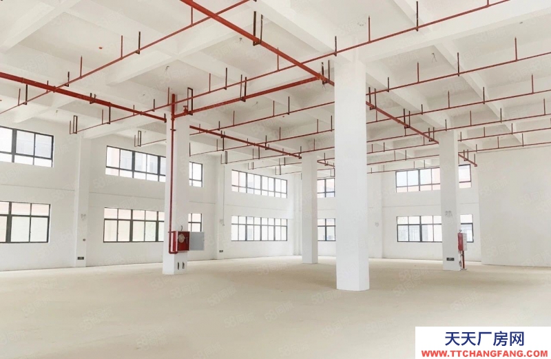 青島平度緊靠204國道 機場6車程 大產權廠房