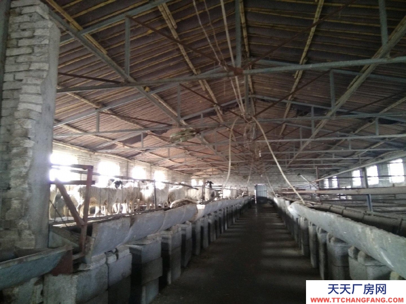 青島平度李園 樂義基地 養殖場 出售