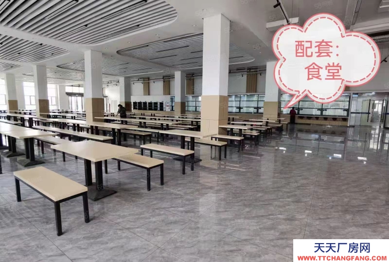 石家莊 鹿泉 獨棟廠房,承載企業總部,高鐵,高速,南三環,主干道沿線