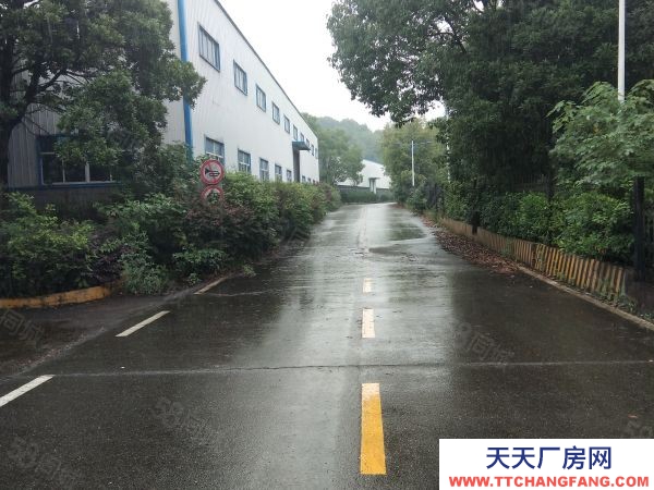 長沙市寧鄉區 大面積廠房整體出租 適合辦學校