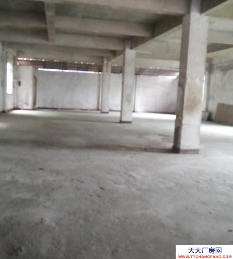 南寧市西鄉塘區(出租) 個人房源，直接出租，直接房東