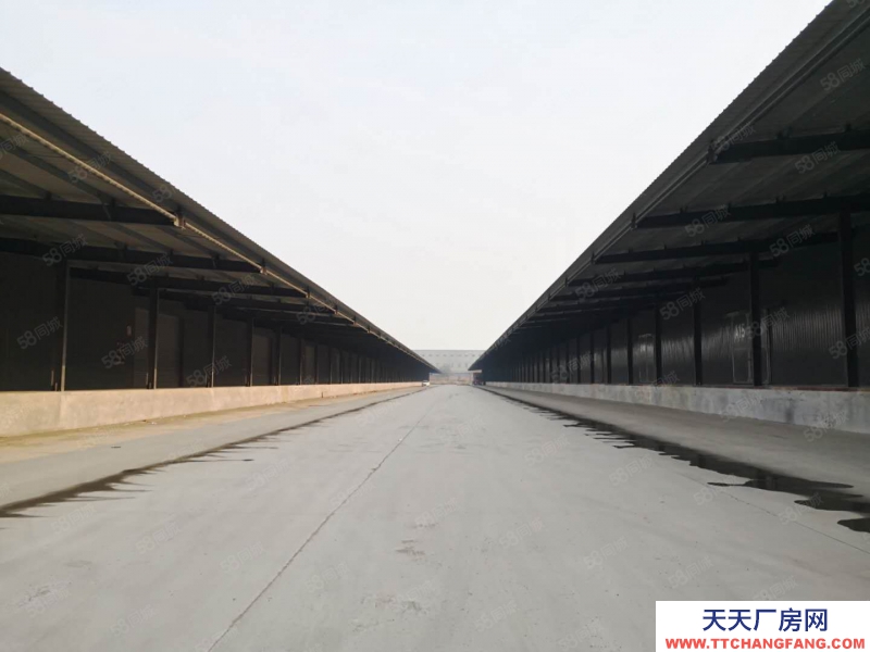 (出租) 超大規模園區庫房招租