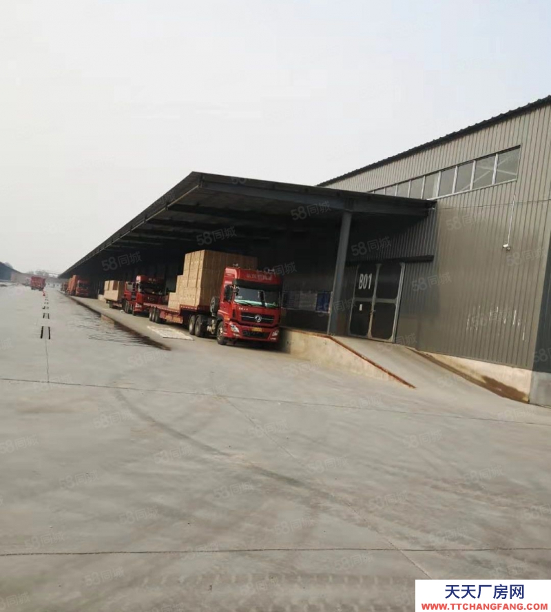 (出租) 考慮換倉搬遷的老板全新庫房等著您無塵地面價格優惠