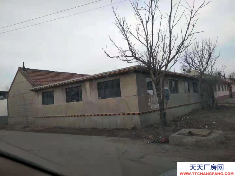 青島平度同和李戈莊獨門獨院出租，可根據租戶需要改造