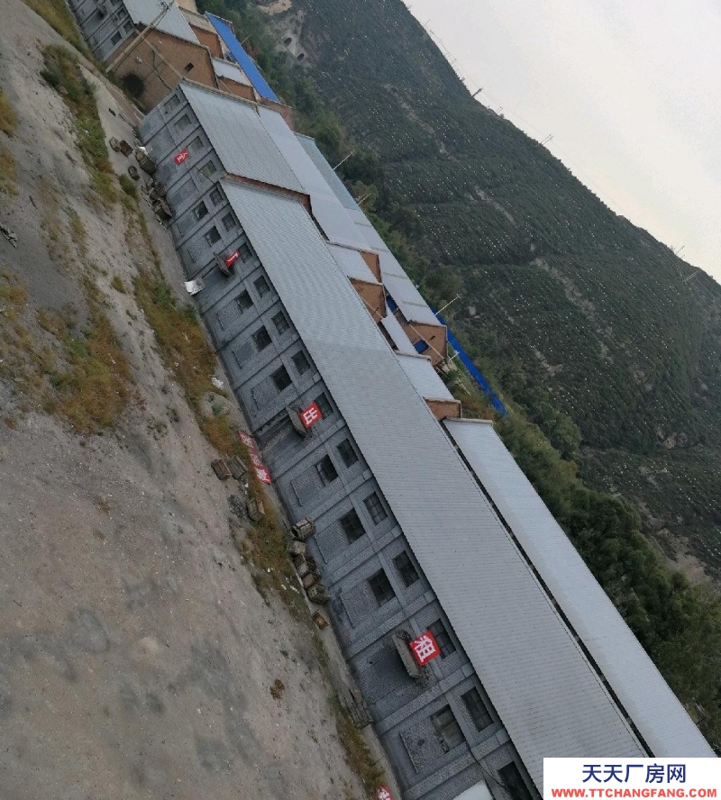 (出租) 大型倉庫,廠房,空院,辦公整場出租