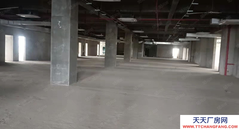 南寧市西鄉(xiāng)塘區(qū)(出租) 特惠房源出租 10元一平起租 標(biāo)準(zhǔn)廠房 還剩少量房源可租