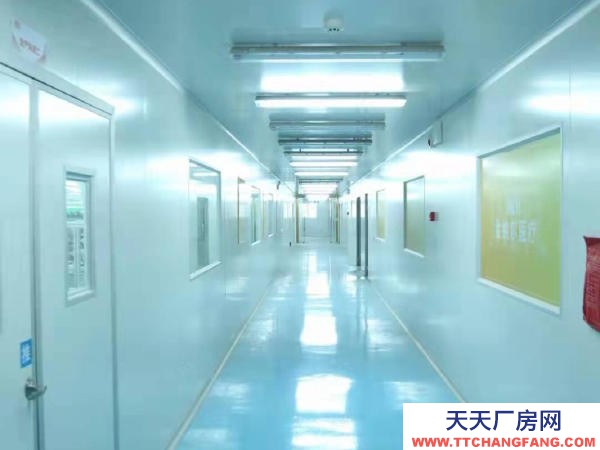 長沙市寧鄉區 城區訂制獨棟廠房