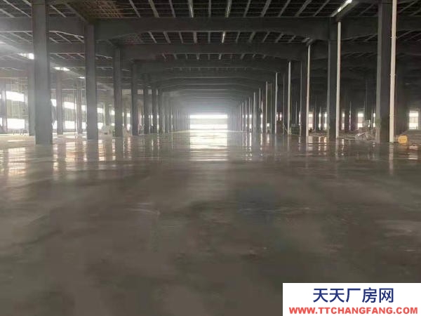 長沙市寧鄉區 城區訂制獨棟廠房