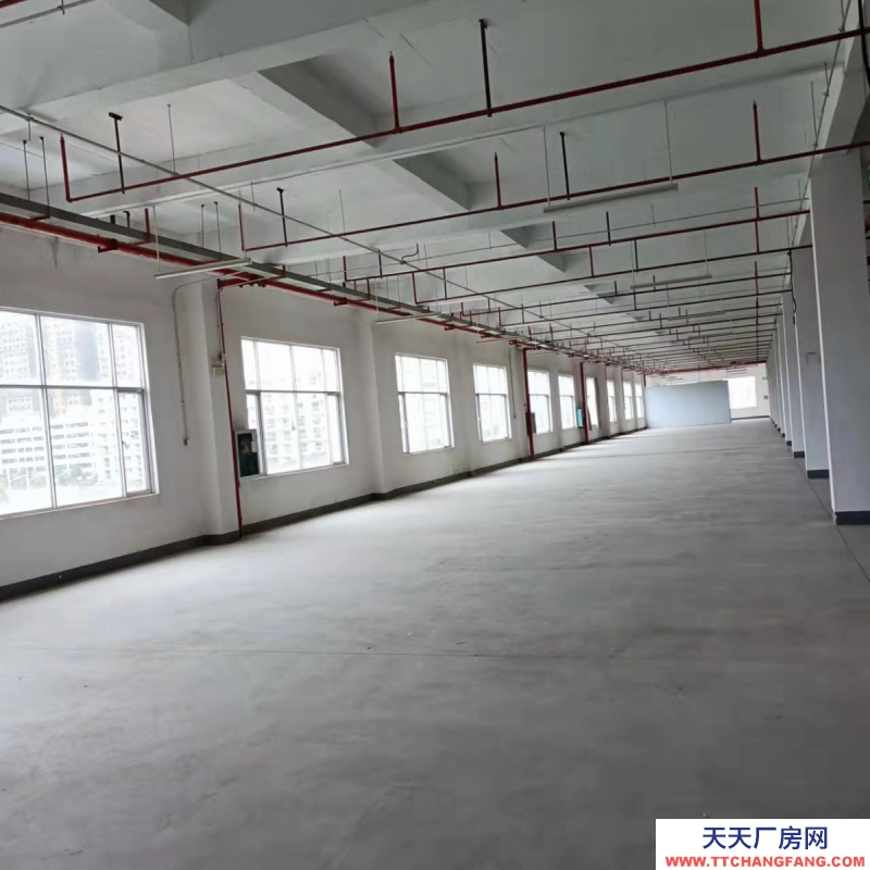 南寧市西鄉(xiāng)塘區(qū)(出租) 高新區(qū)標準廠房、倉庫出租,大車出入方便,交通便利