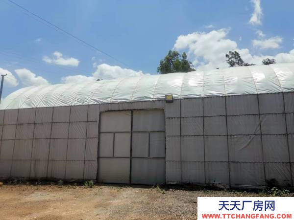 (出租) 可做廠房,倉庫,水電路都通,地理位置優(yōu)越,可做番茄代辦和倉庫