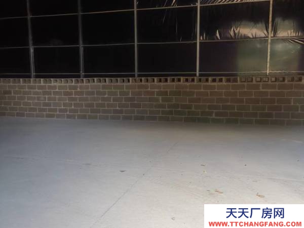 (出租) 可做廠房,倉庫,水電路都通,地理位置優(yōu)越,可做番茄代辦和倉庫