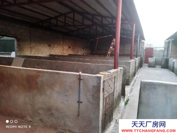 (出租) 路通，水通，三相電通，自家房有產(chǎn)權(quán)！