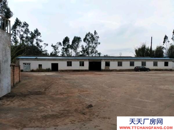 (出租) 烏谷哨上寨場(chǎng)地，廠房