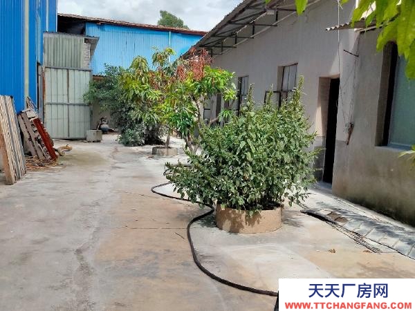 (出租) 此場地出租:地址位于個舊市、雞街鎮老昆河公路邊小芭蕉路段。