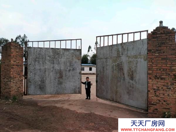 (出租) 獨門獨院,可做倉庫、廠房