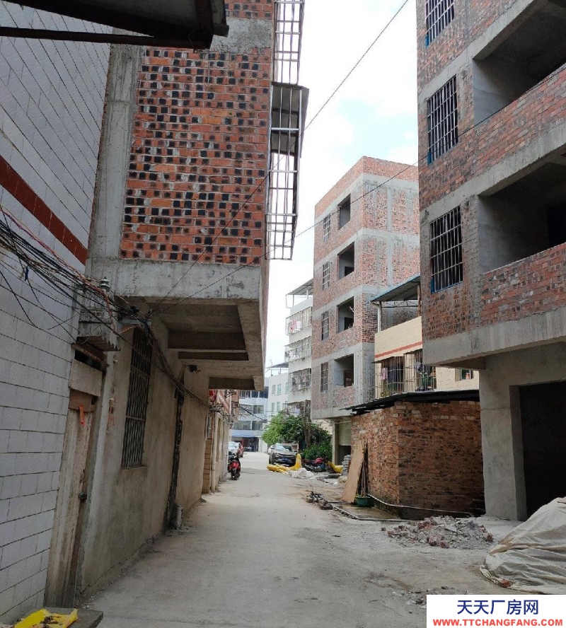 南寧市西鄉(xiāng)塘區(qū)(出租) 心圩整棟出租（近小學(xué)）