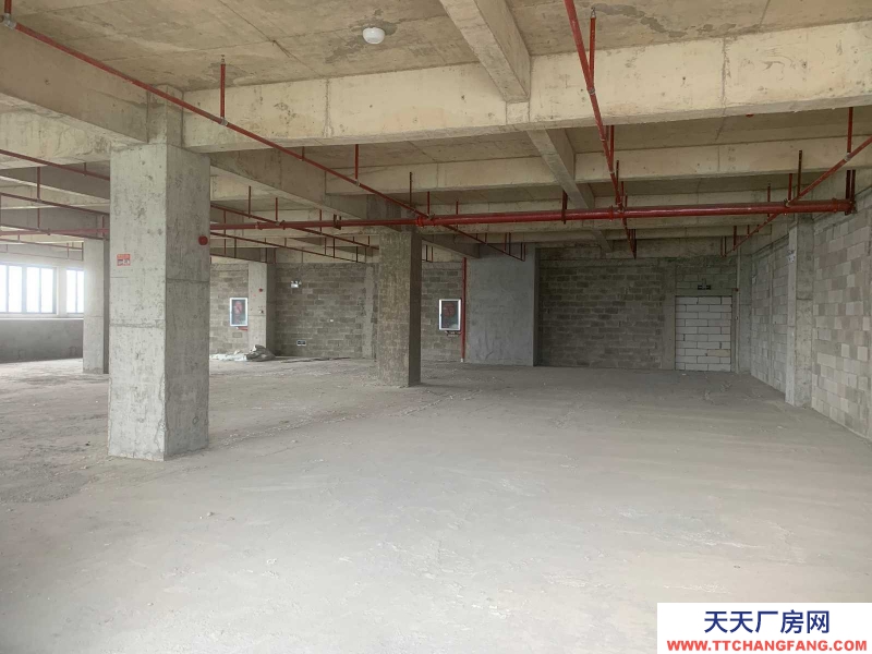 南寧市西鄉(xiāng)塘區(qū)(出租) 出租西鄉(xiāng)塘西鄉(xiāng)塘周邊