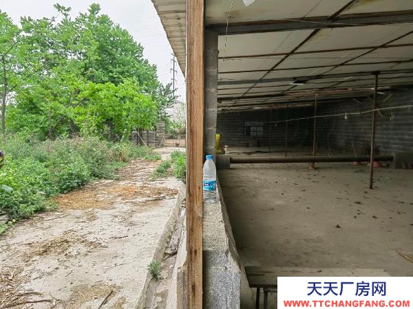 (出租) 230多平方彩鋼瓦，5米多的高！有變壓器一臺(tái)！紅河